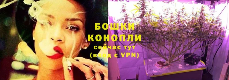 цена наркотик  Надым  Каннабис OG Kush 